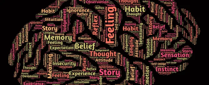 Emociones del cerebro estudiadas en la carrera de psicología