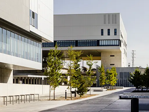 UJA-Campus-Científico-y-Tecnológico-Linares Campus Científico y Tecnológico de Linares
