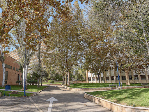 Campus de Córdoba