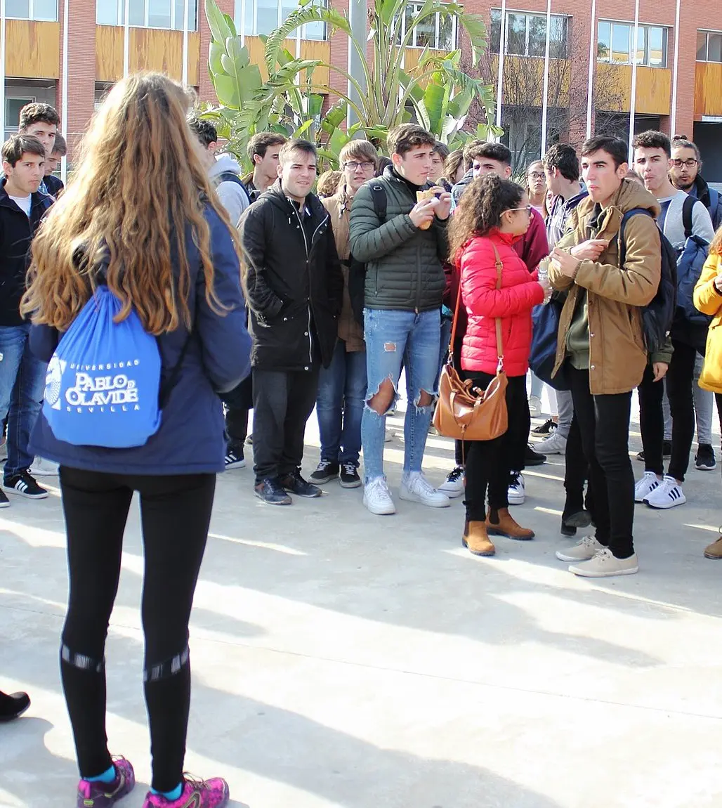 estudiar-UPO Estudiar en la UPO