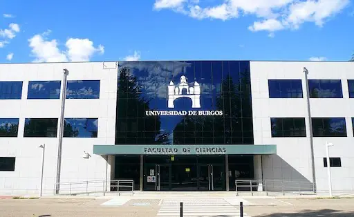 Campus-San-Amaro Campus SAan Amaro