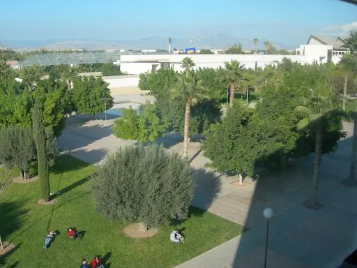 Campus Universidad de Alicante