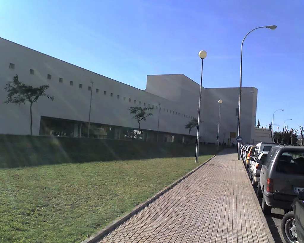 Estudiar en la UMH Estudiar en la UMH